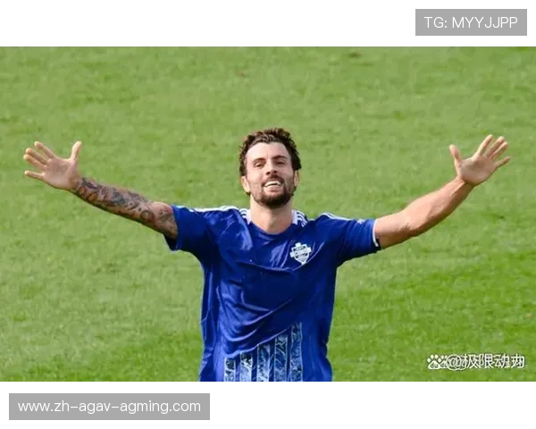 哪支意甲球队最具观赏性?球风解析 哪支意甲球队最具观赏性?球风解析