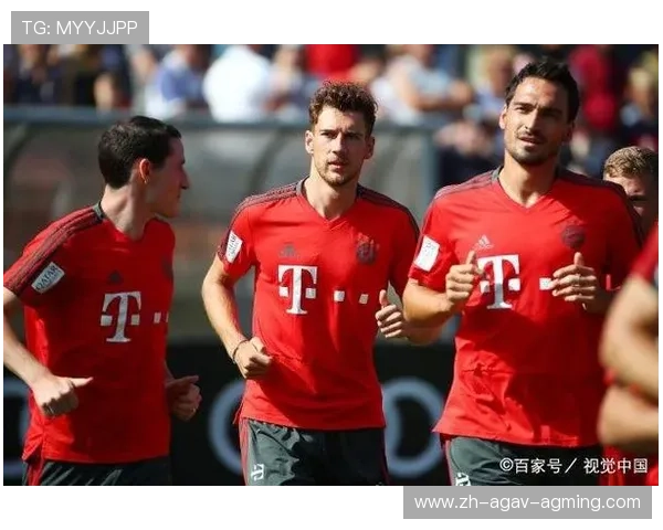 德甲球队注册要求：了解德甲球队的注册要求与流程